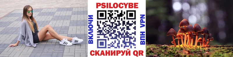Купить  Чекалин  Псилоцибиновые грибы MAGIC MUSHROOMS 
